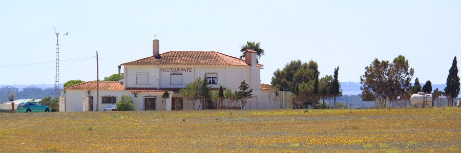 The horse ranch in Spain
